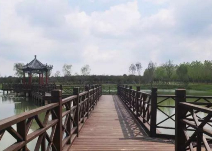 QQ截图20190306155354